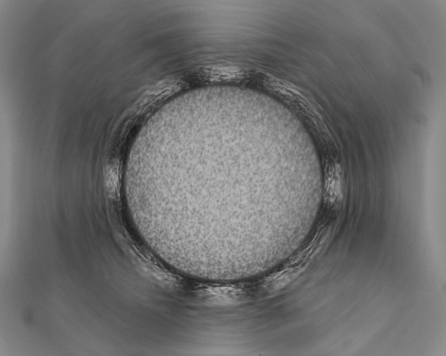 X0000112000468200908311118