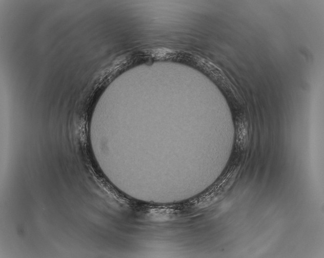 X0000112000470200908311118