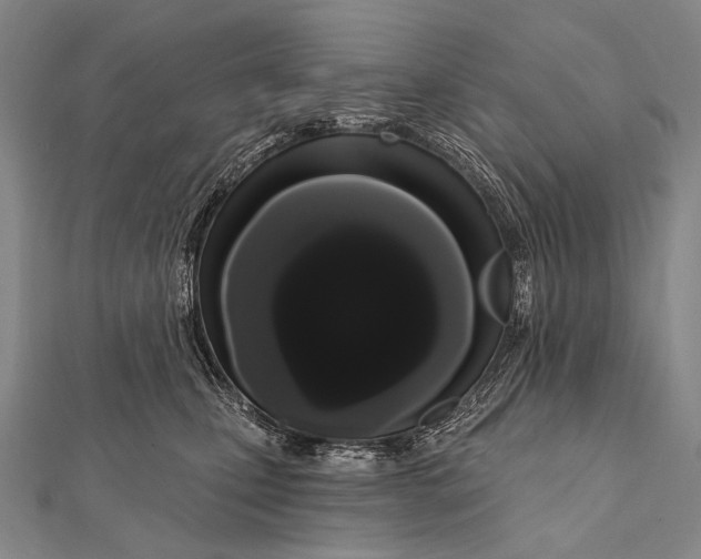 X0000112000471200908311118