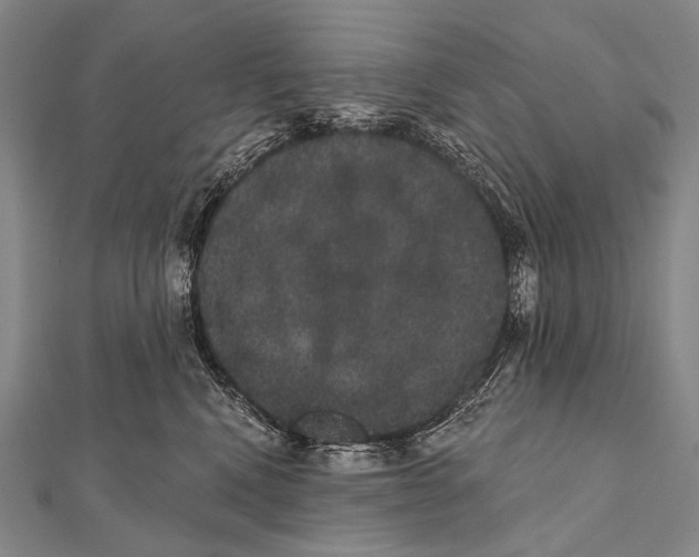 X0000112000472200908311118