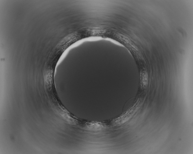 X0000112000475200908311118