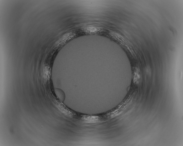 X0000112000476200908311118