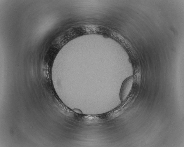 X0000112000477200908311118