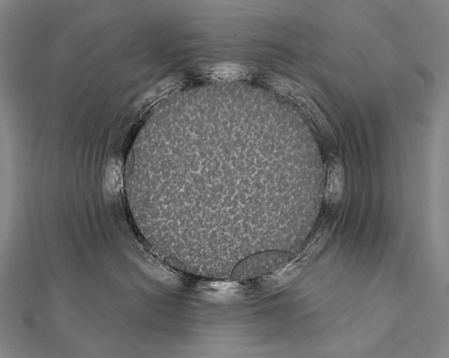 X0000112000478200908311118