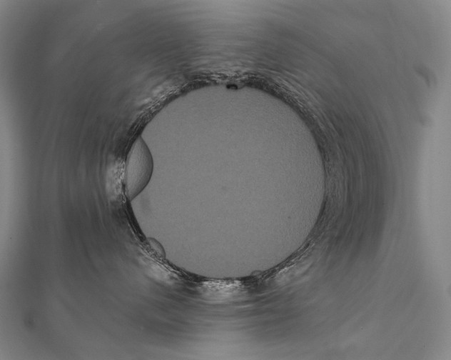 X0000112000480200908311118