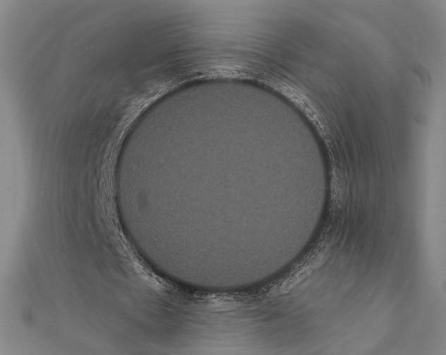 X0000112000481200908311117