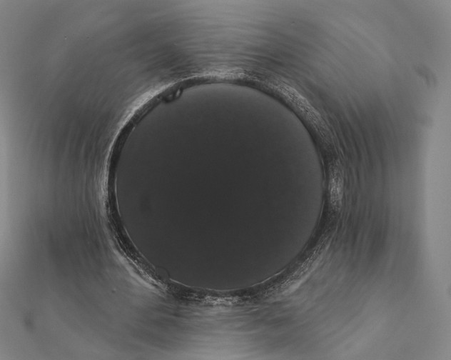 X0000112000484200908311117