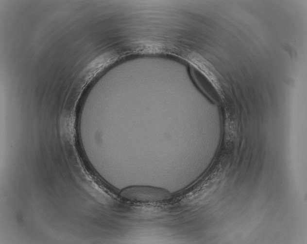 X0000112000485200908311117