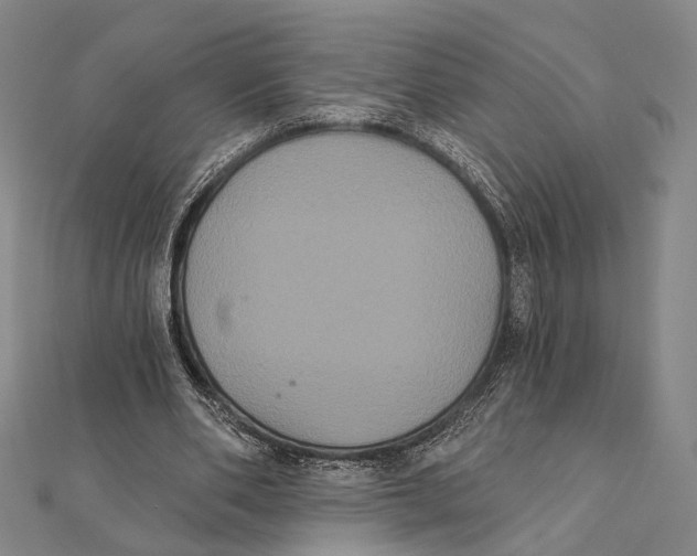 X0000112000486200908311117