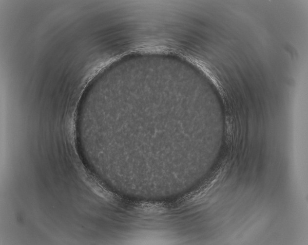 X0000112000487200908311117