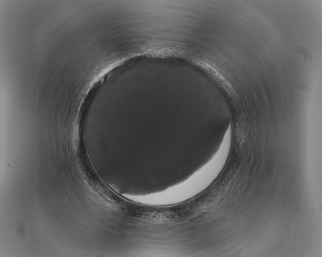 X0000112000488200908311117