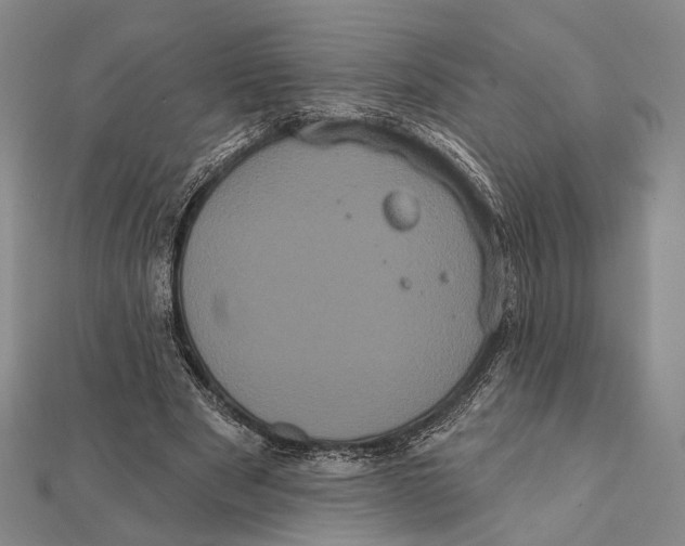 X0000112000489200908311117