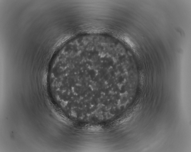 X0000112000491200908311117