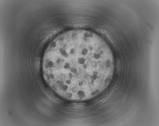 X0000112000495200908311117