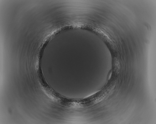 X0000112000496200908311117