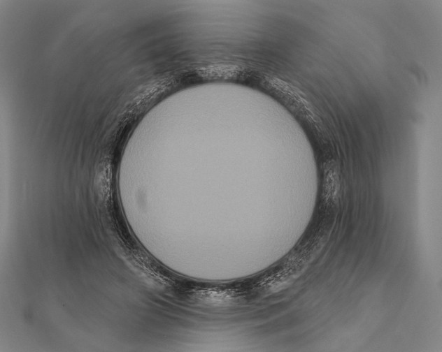 X0000112000498200908311117