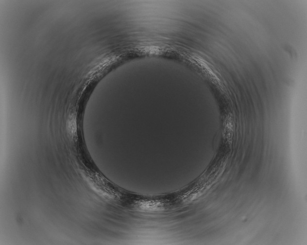 X0000112000500200908311117