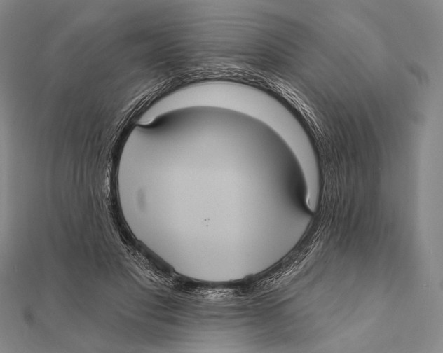 X0000112000501200908311117