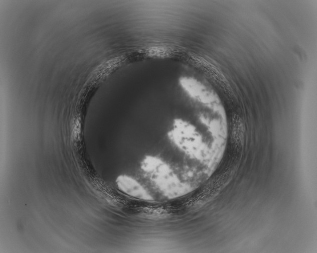 X0000112000502200908311117