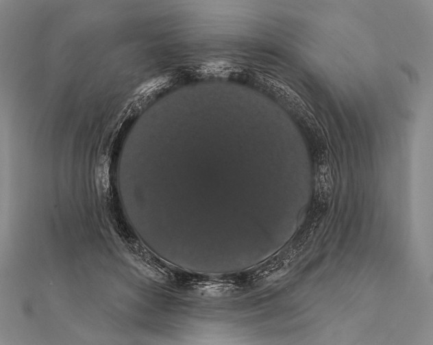 X0000112000504200908311117