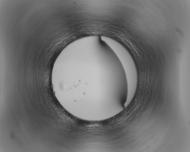 X0000112000505200908311117