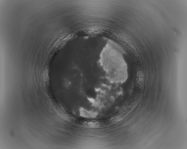 X0000112000506200908311117