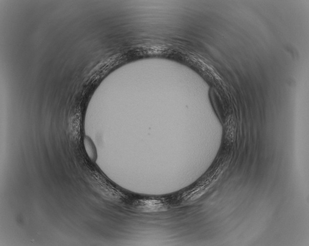 X0000112000509200908311117