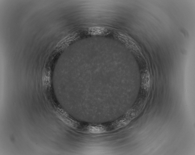 X0000112000510200908311117