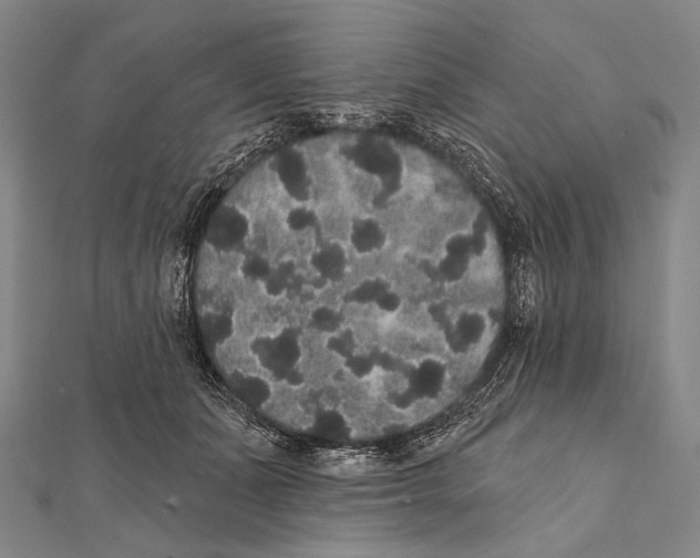 X0000112000511200908311117