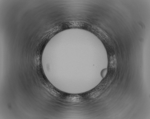 X0000112000514200908311117