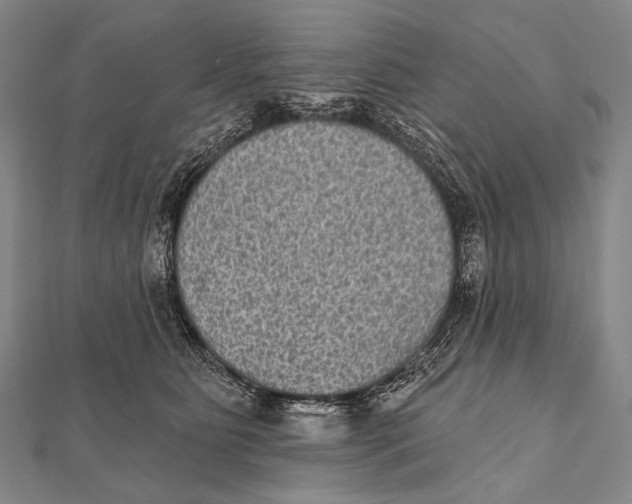 X0000112000515200908311117