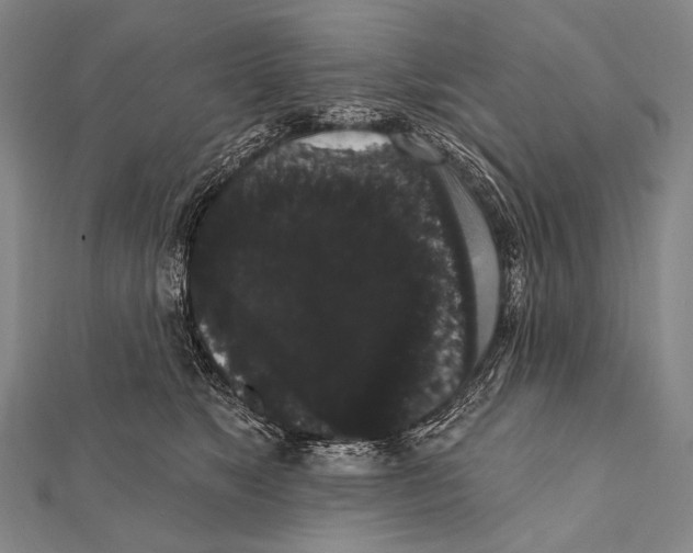 X0000112000517200908311117