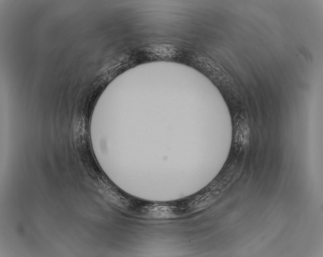 X0000112000518200908311117