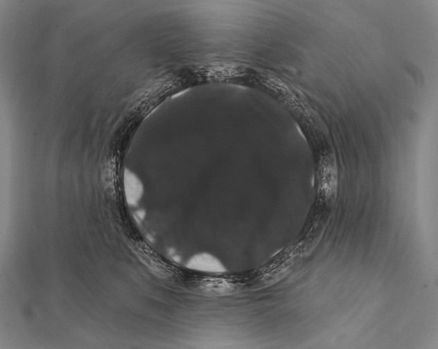 X0000112000519200908311117