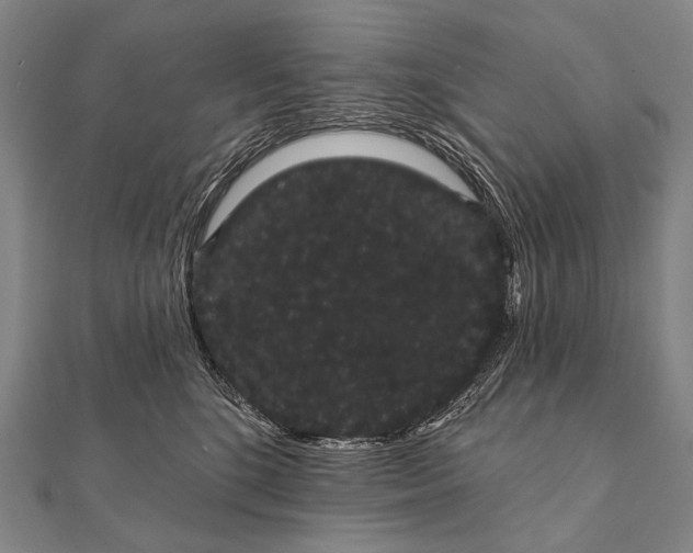 X0000112000520200908311117