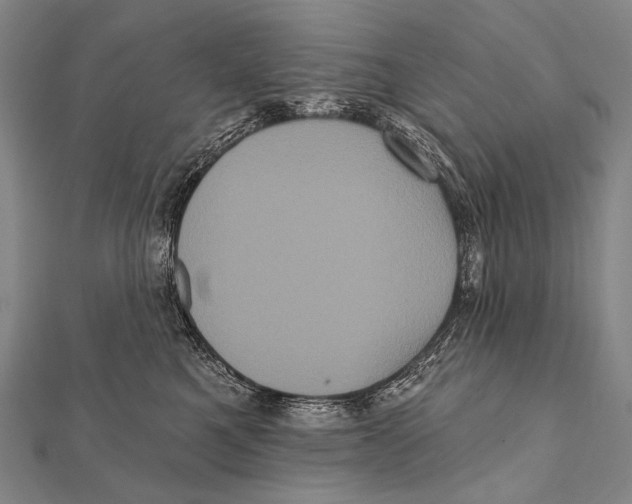 X0000112000521200908311117