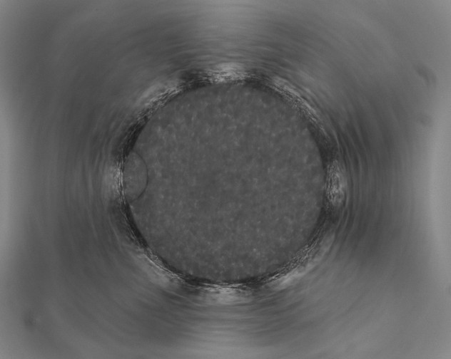 X0000112000523200908311117