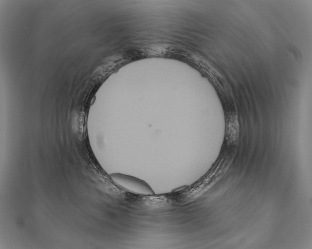 X0000112000525200908311117