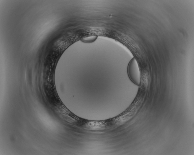 X0000112000526200908311117