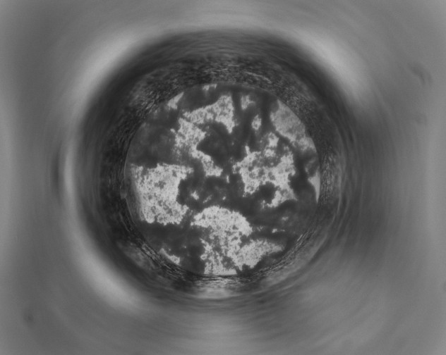 X0000112000527200908311117