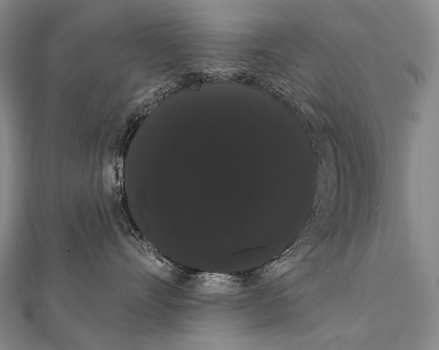 X0000112000528200908311117