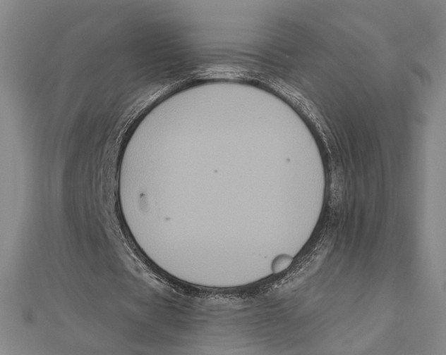 X0000112000529200908311116