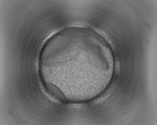 X0000112000530200908311116