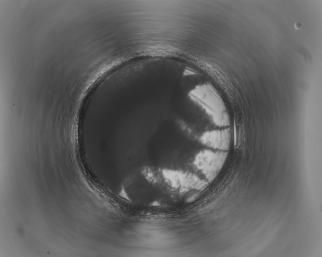 X0000112000531200908311116