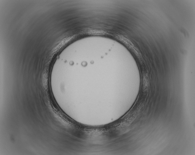 X0000112000533200908311116