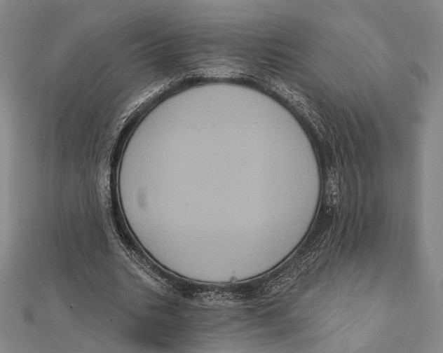 X0000112000535200908311116