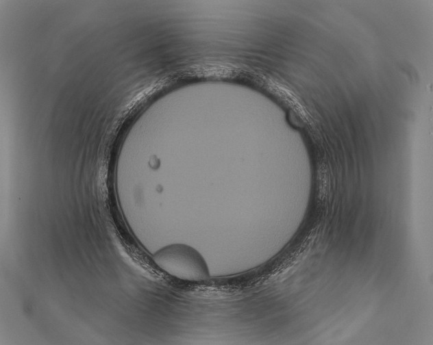 X0000112000538200908311116