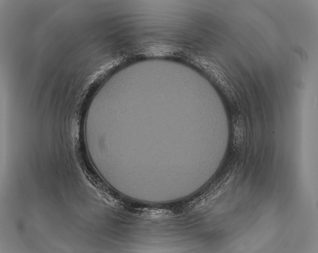 X0000112000539200908311116