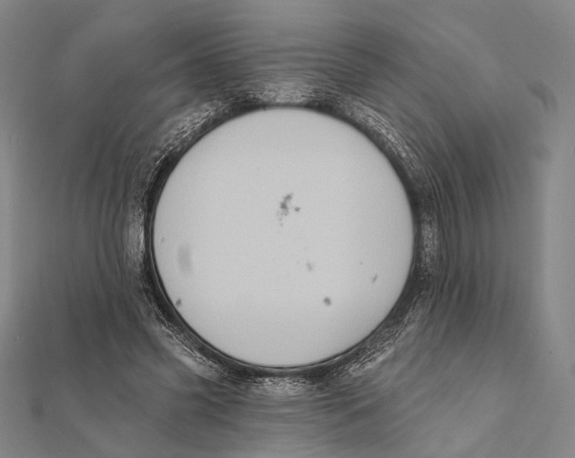 X0000112000541200908311116