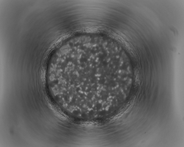 X0000112000542200908311116